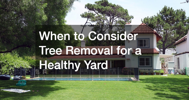 When to Consider Tree Removal for a Healthy Yard
