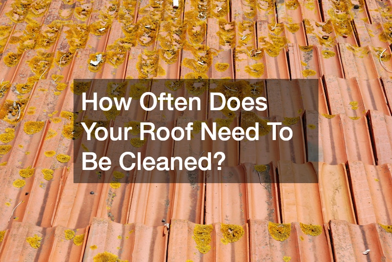 How Often Does Your Roof Need To Be Cleaned?