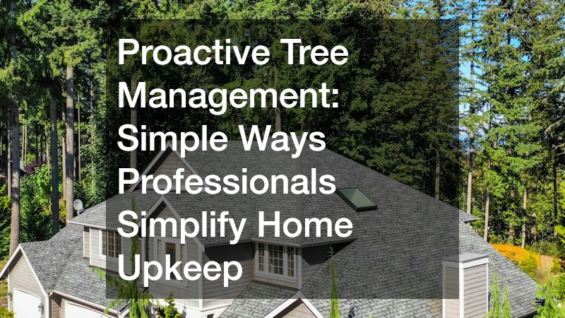 Proactive Tree Management  Simple Ways Professionals Simplify Home Upkeep